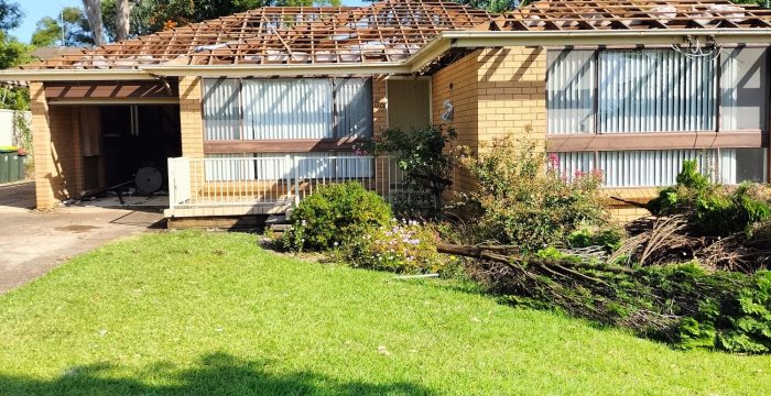 A single-story house with a partially removed roof stands amidst the lush greenery and trees, basking under Sydney's clear blue sky. An expert touch is evident in the careful home demolition process.